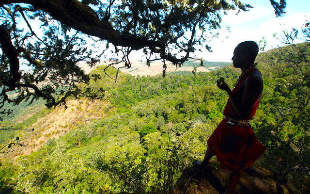 Best safari experience Kenya