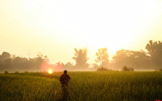 The farm in the early morning